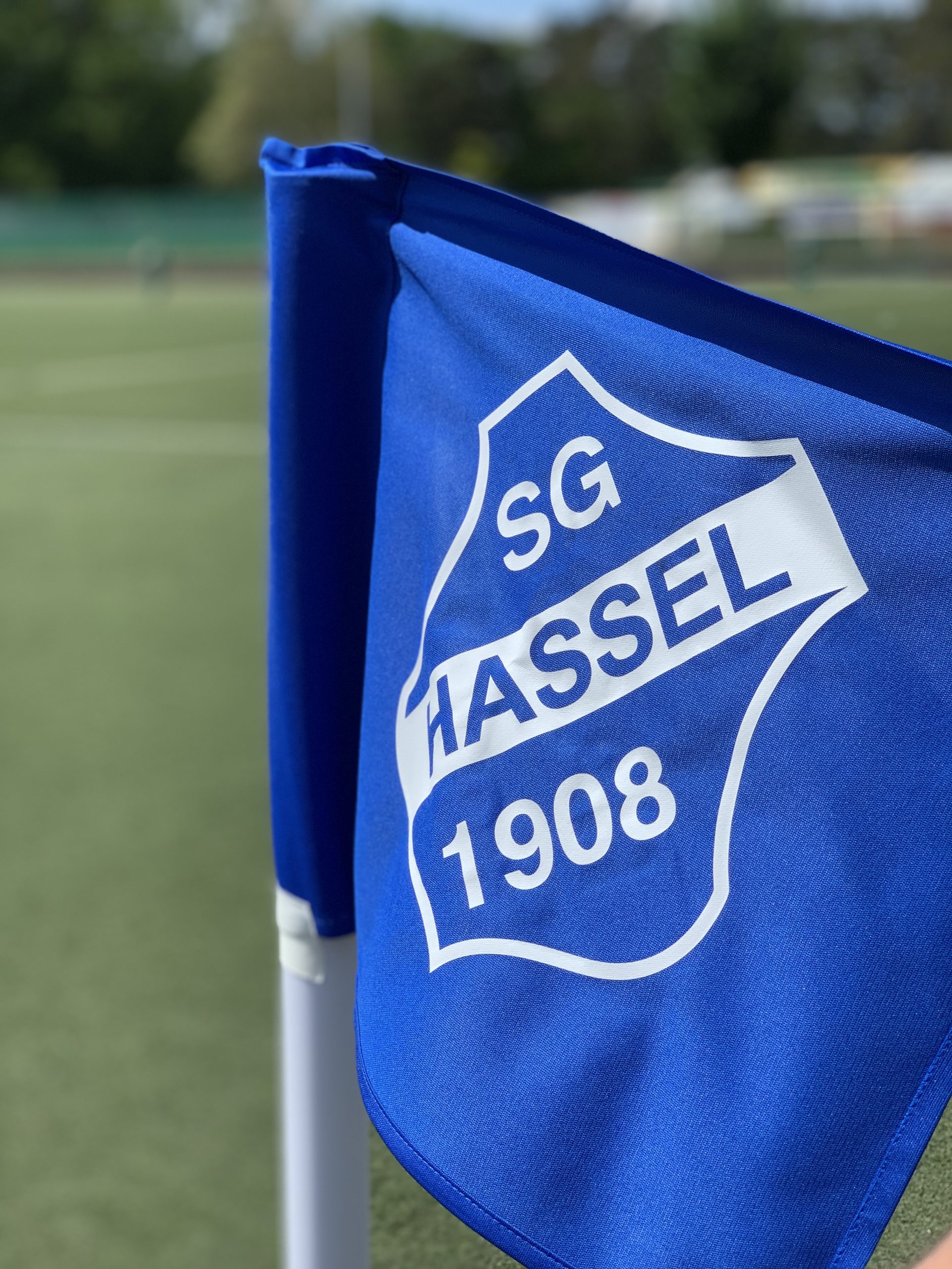 Kontakt SG Hassel 1908 E V 